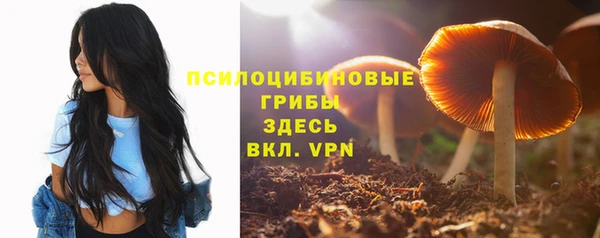 jwh Богородск