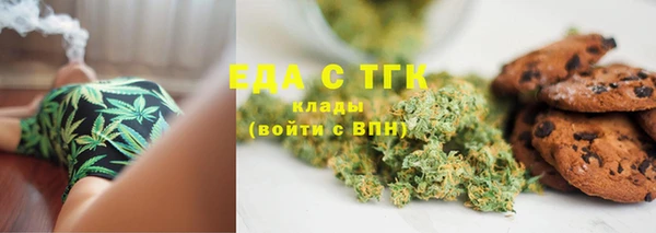 индика Бугульма
