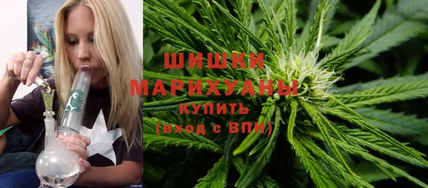 прущая мука Богданович