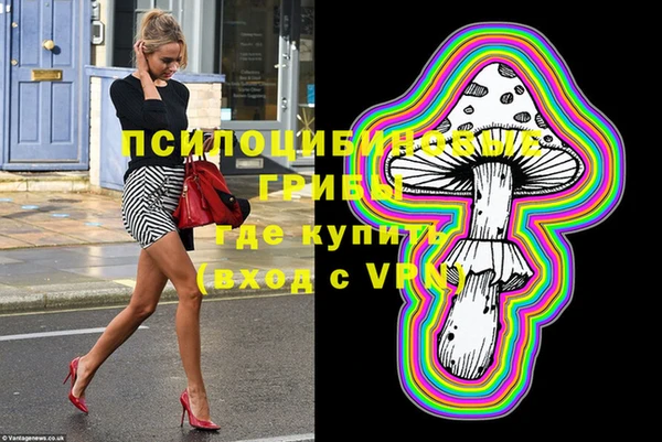 индика Бугульма