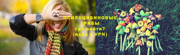 наркотики Богородицк