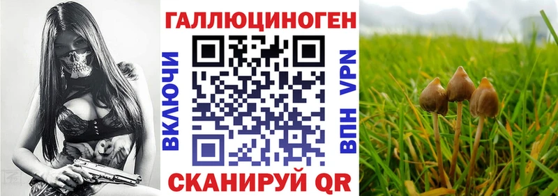 МЕГА ссылки Рыбинск Псилоцибиновые грибы Magic Shrooms