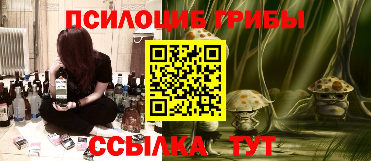 Псилоцибиновые грибы Psilocybe Рыбинск